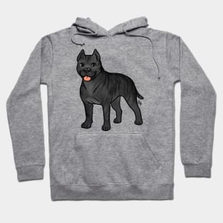 Dog - American Staffordshire Terrier - Cropped Blue Brindle Hoodie